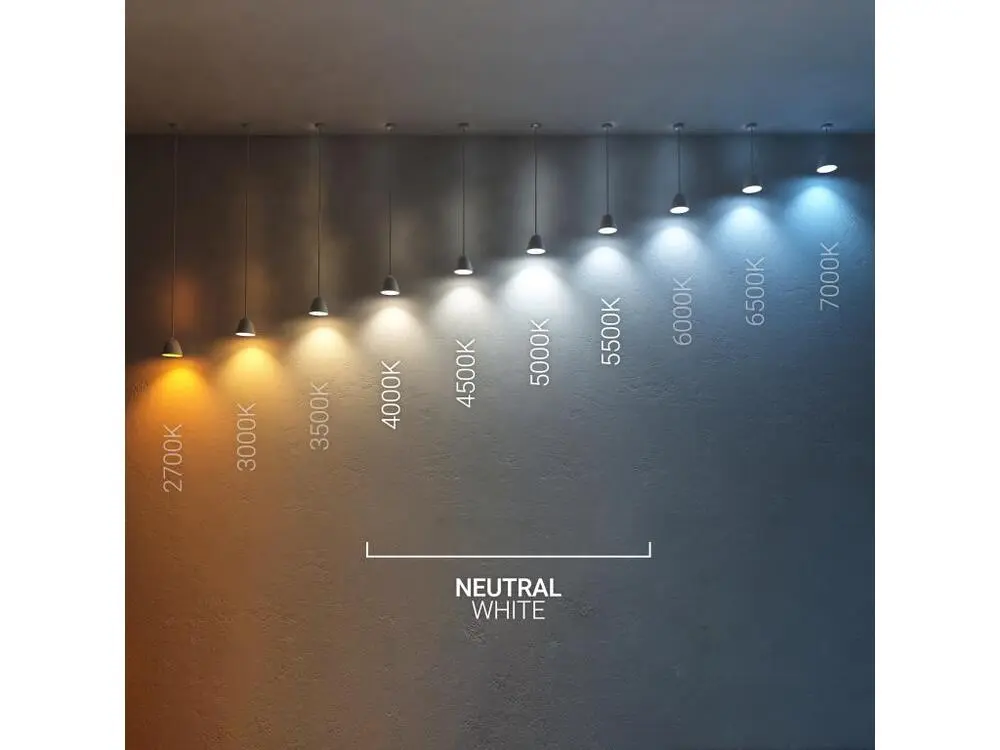 Ampoule LED Filament E27 6W 720 lm G125 Blanc Neutre 4000K Matériau : Verre soufflé