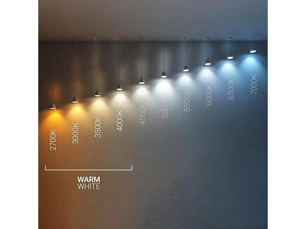 Guirlande lumineuse Ampoule LED Filament E27 6W 720 lm G95 Blanc Doux 2700K