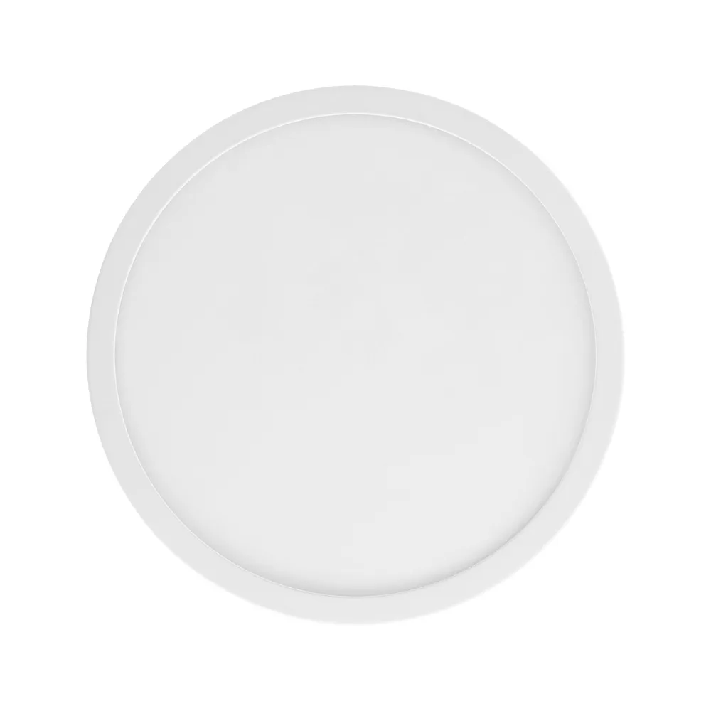 Luminaire à effet Plafonnier extérieur plastique blanc ARGOLIS 2 LED INT 20,5W
