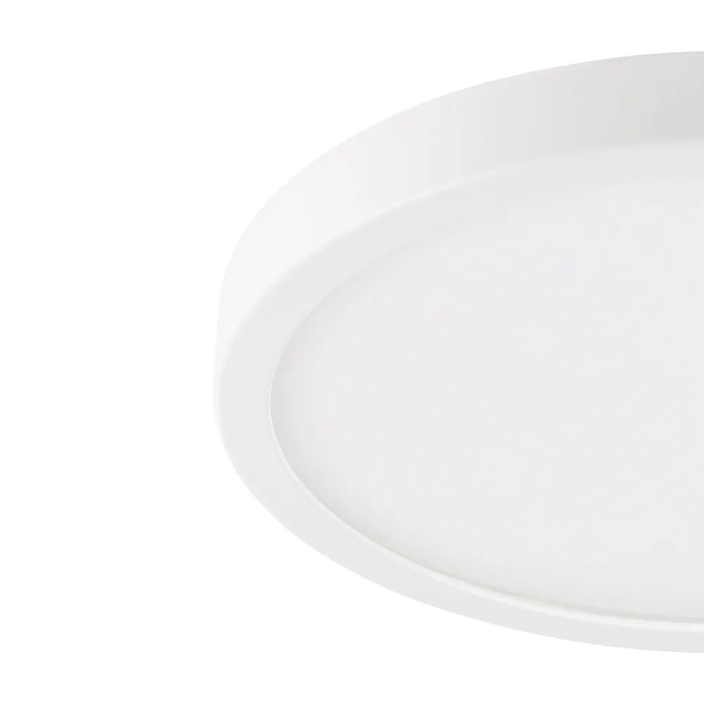 Luminaire à effet Plafonnier extérieur plastique blanc ARGOLIS 2 LED INT 20,5W