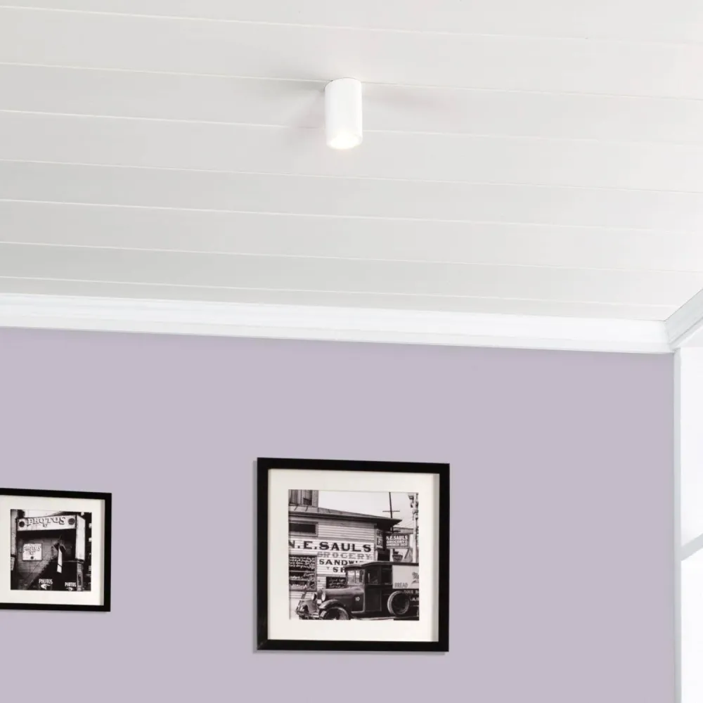 Lustre en plâtre avec technologie d'éclairage LED intégrée. pour chambre d'enfant