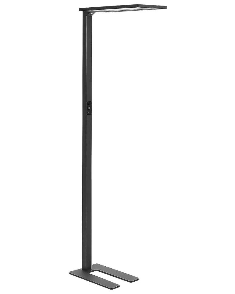 Metal LED Floor Lamp Noir jais ORION