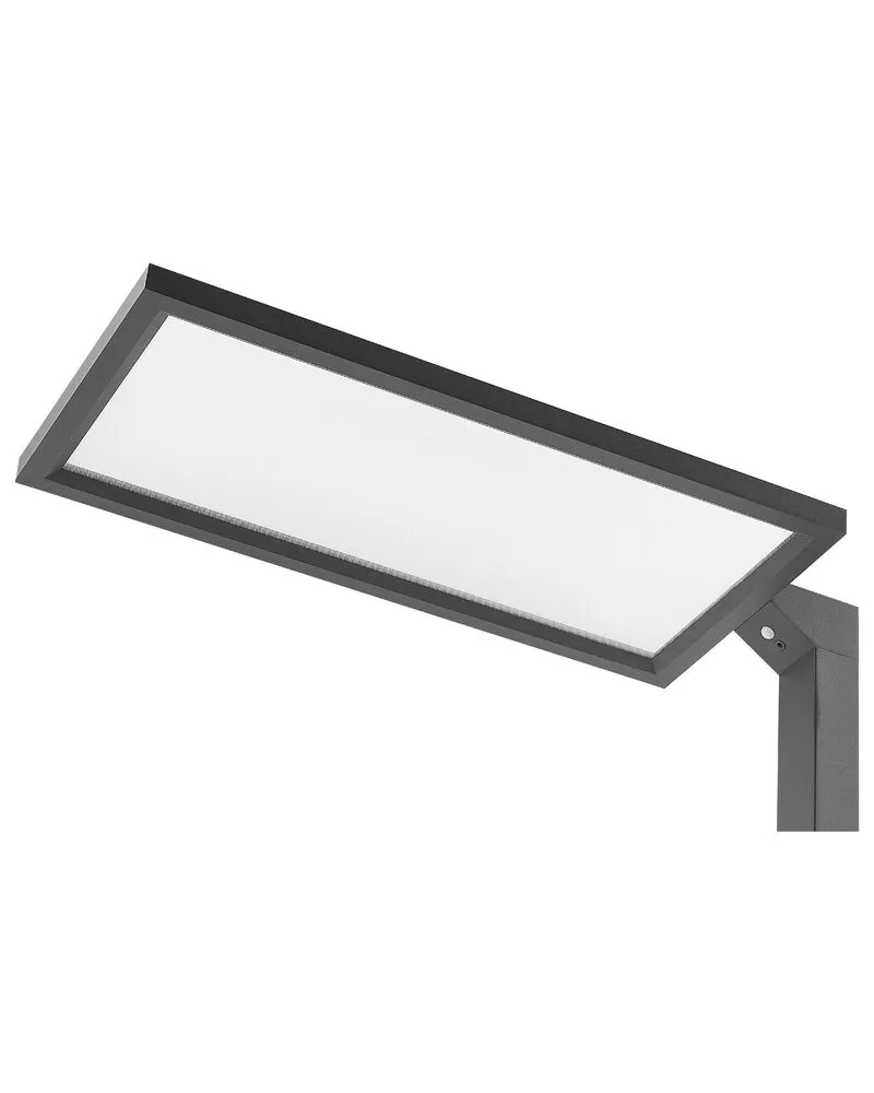 Metal LED Floor Lamp Noir jais ORION