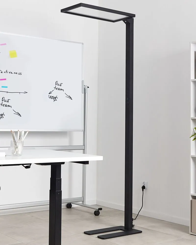 Metal LED Floor Lamp Noir jais ORION