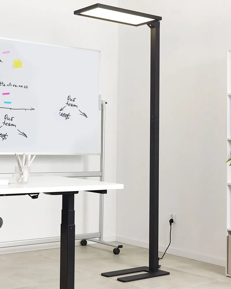 Metal LED Floor Lamp Noir jais ORION
