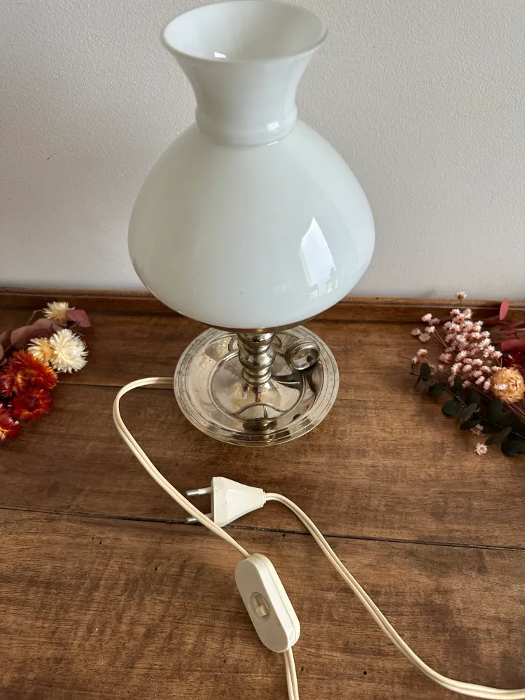 Éco-Énergétique Lampe socle rat de cave en métal et opaline