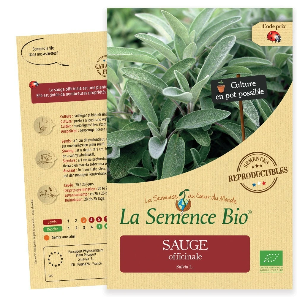 Sauge officinale bio avec Garantie 2 Ans