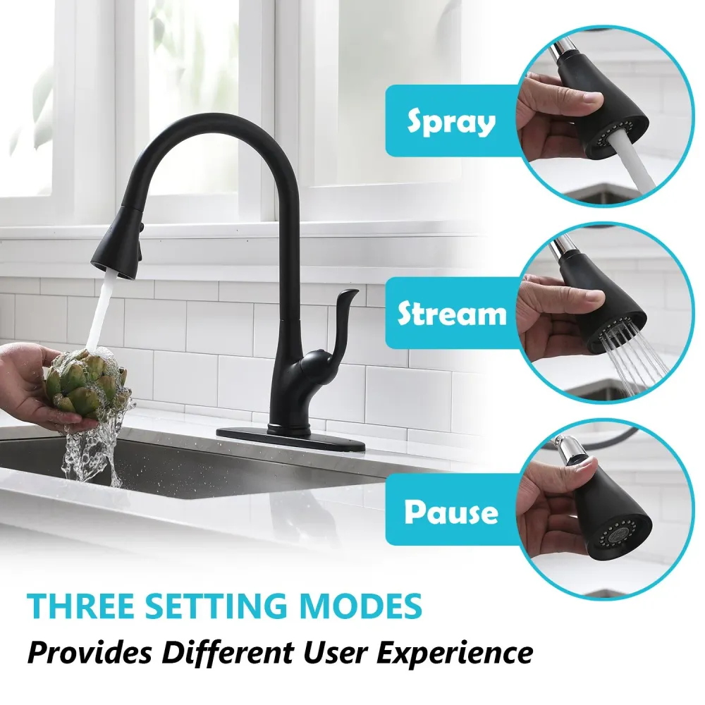 APPASO 149MB Pull Down Kitchen Faucet Matte Noir jais Soap Dispenser