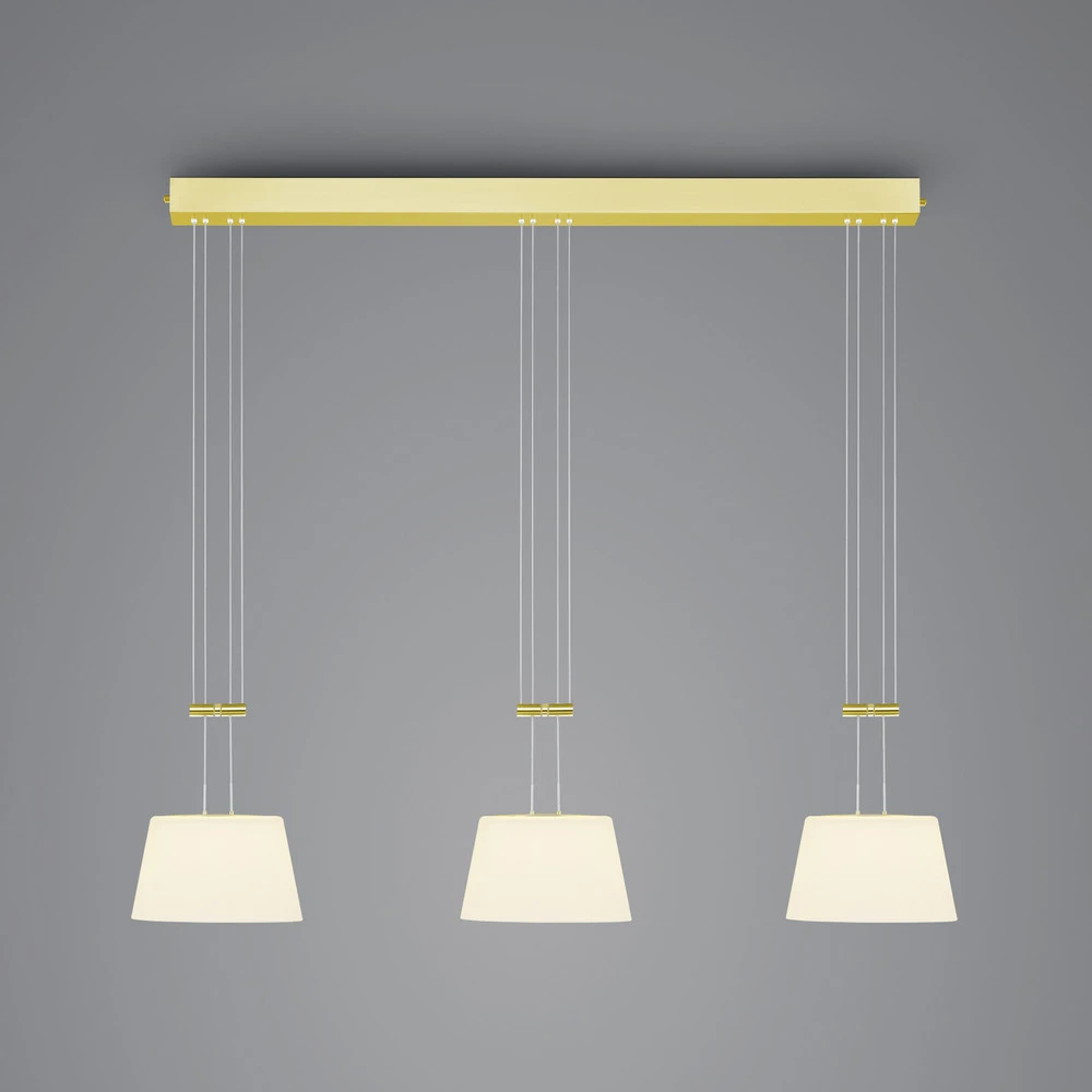 BANKAMP Conus suspension LED, 3 lampes, laiton pour plafonds suspendus