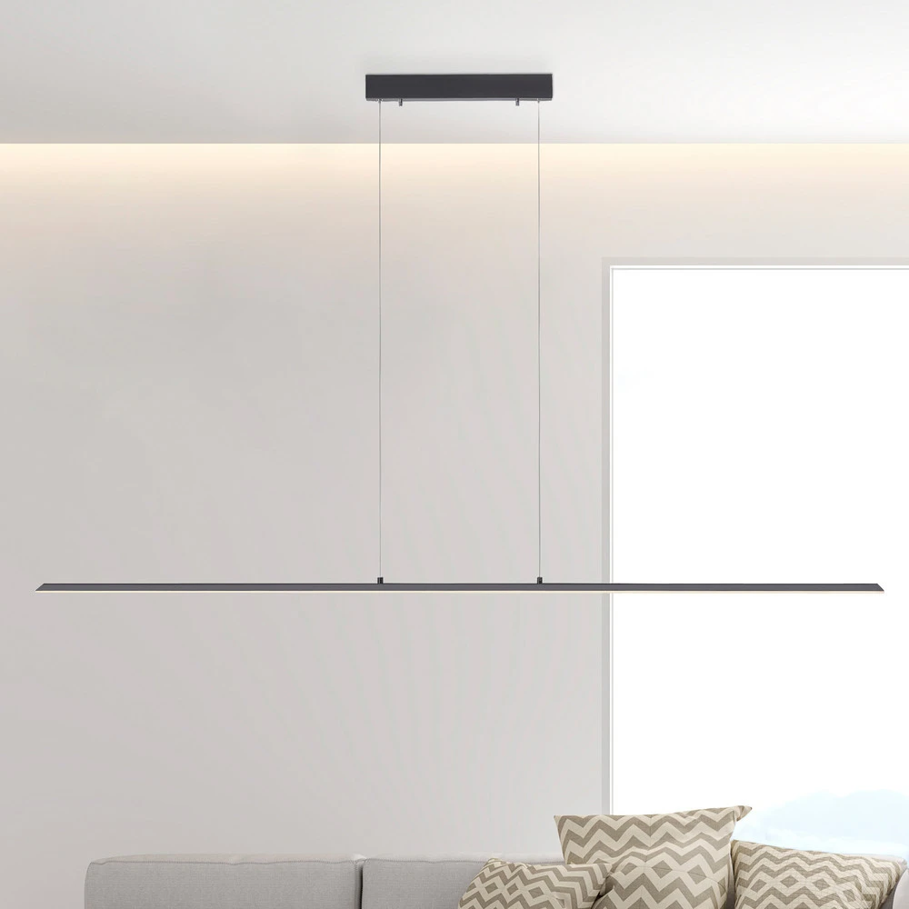 INTÈGRE Suspension LED Lite, anthracite, 160 cm, CCT, intensité variable avec LED intégrée non remplaçable