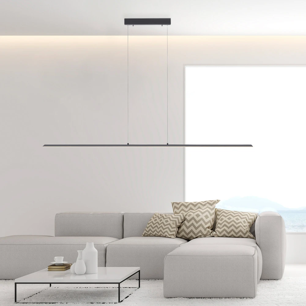 INTÈGRE Suspension LED Lite, anthracite, 160 cm, CCT, intensité variable avec LED intégrée non remplaçable