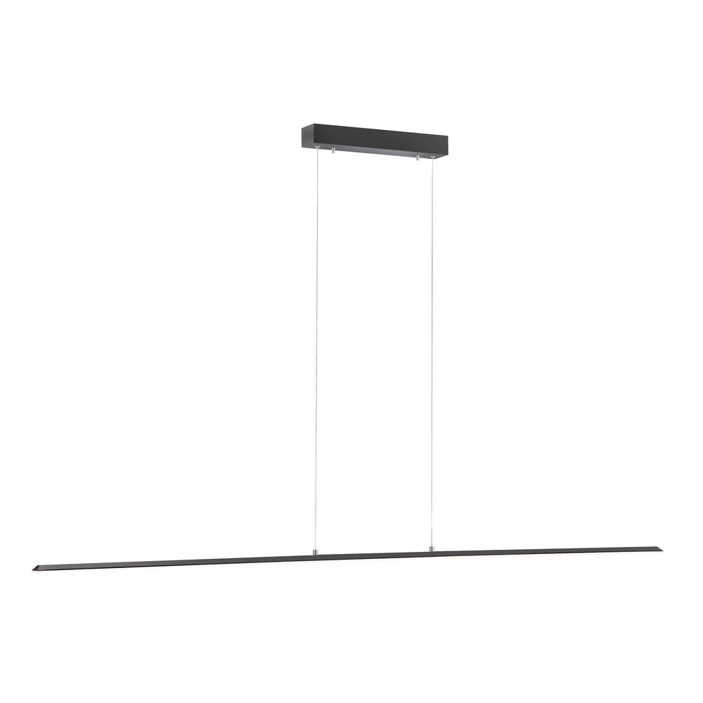 INTÈGRE Suspension LED Lite, anthracite, 160 cm, CCT, intensité variable avec LED intégrée non remplaçable