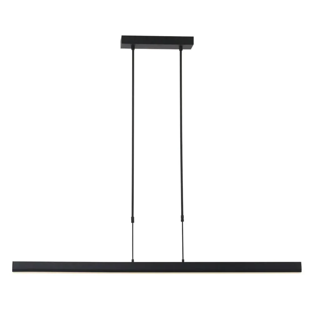 Luminaire de plafond à panneaux Suspension Récent Noir | Zelena