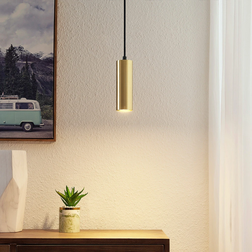 Plafonnier à lumière directionnelle Lindby Raisan suspension à 1 lampe
