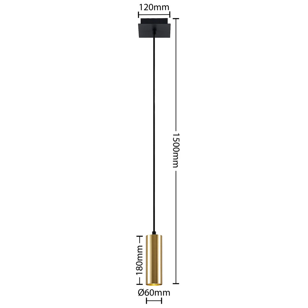 Plafonnier à lumière directionnelle Lindby Raisan suspension à 1 lampe