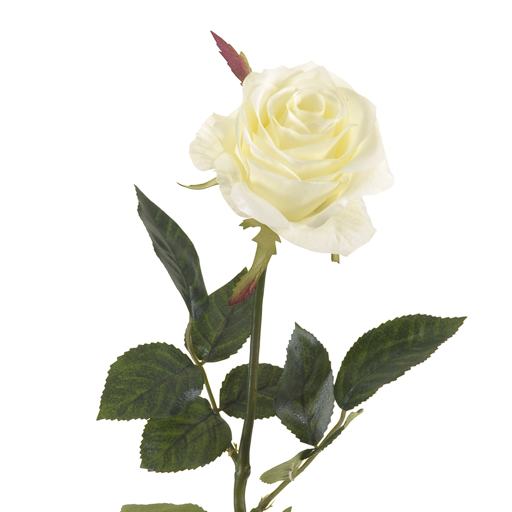 Flotteur de réservoir Tige rose simone, blanc H. 73 cm Emerald