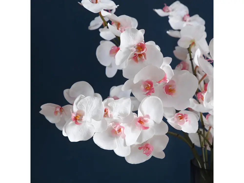 Tige d'Orchidée Phalaenopsis - Rose / 66 cm avec système silencieux