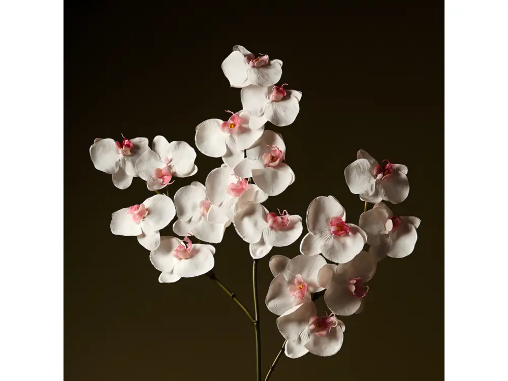 Tige d'Orchidée Phalaenopsis - Rose / 66 cm avec système silencieux