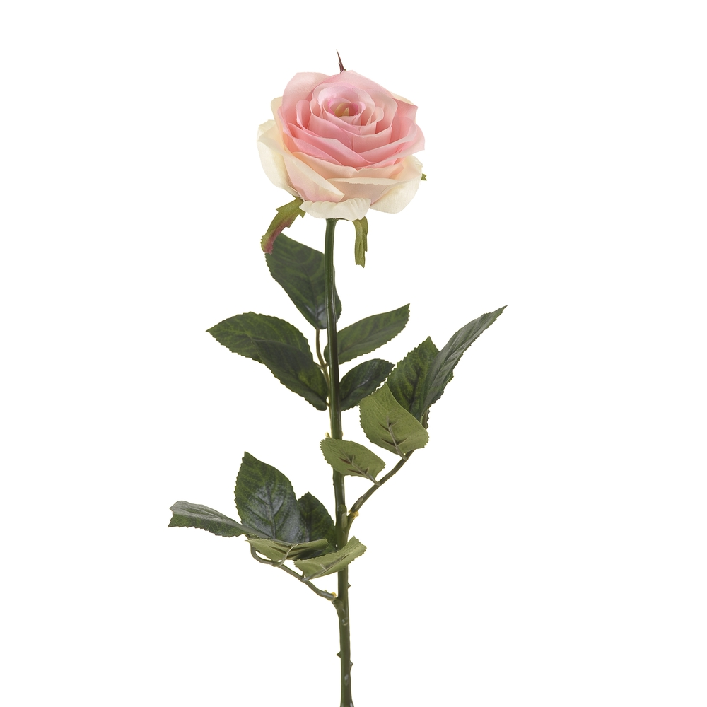 Tige rose simone, rose évident H. 73 cm Emerald avec Joint d'Étanchéité Inclus