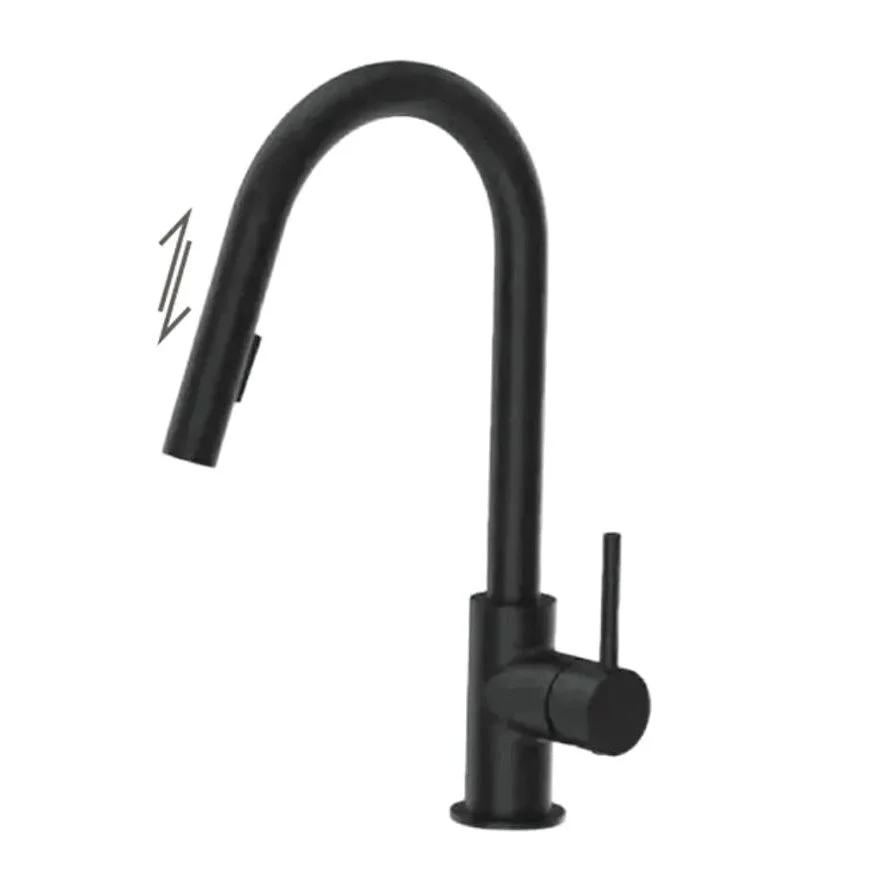 Robinet de cuisine ECHO monocommande à douchette 2 fonctions et rétractables fini