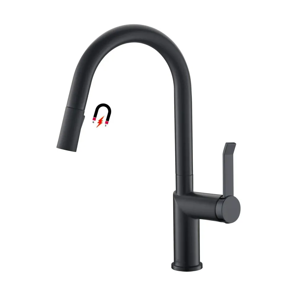 Robinet Mitigeur Evier APPASO Bec Haut Robinet de Cuisine Novateur avec Douchette 2 Jets Noir Mat