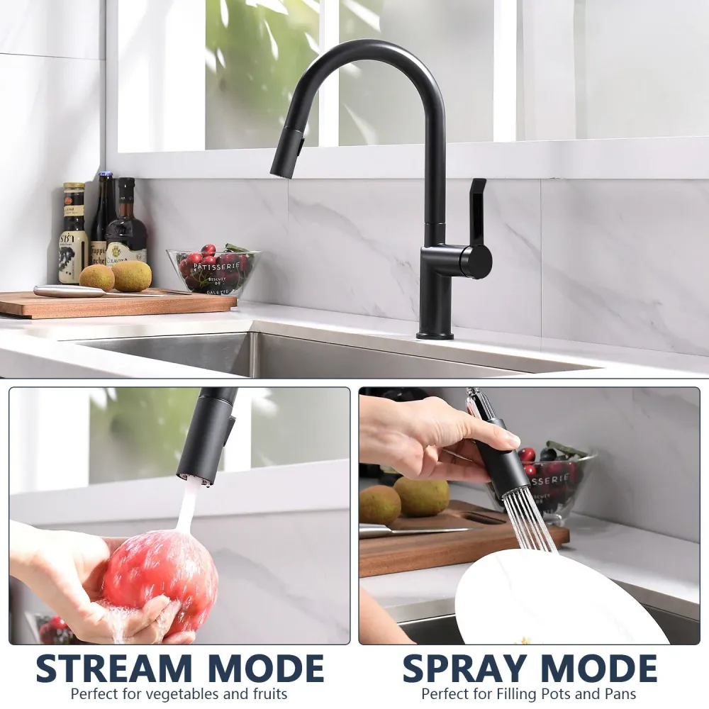 Robinet Mitigeur Evier APPASO Bec Haut Robinet de Cuisine Novateur avec Douchette 2 Jets Noir Mat